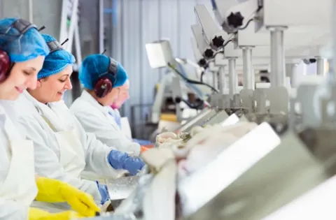 BRCGS v7 Packaging - Interpretação dos Requisitos