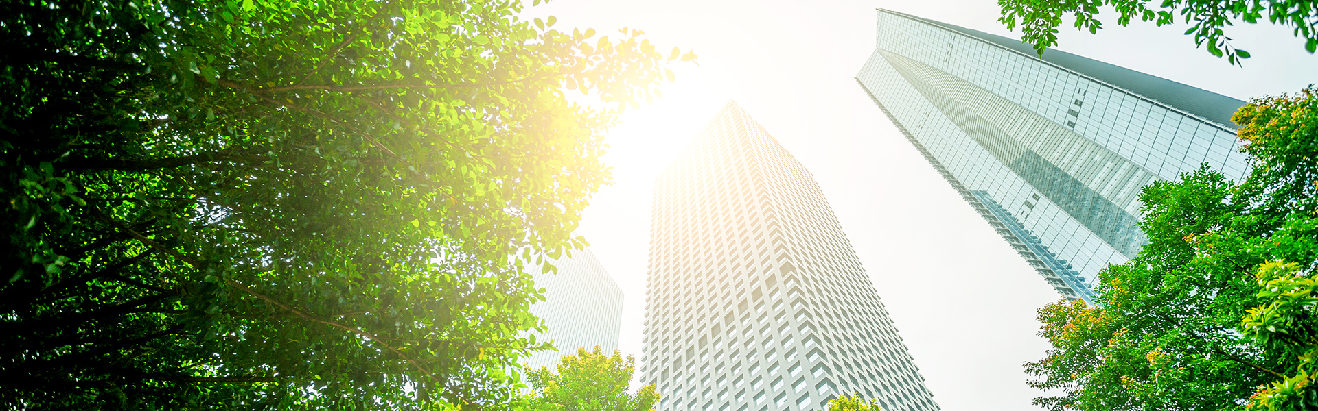 Business towers and green leaves