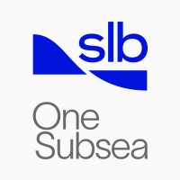 Estrutura de Due Diligence em direitos humanos e mitigação de riscos na cadeia de suprimentos
