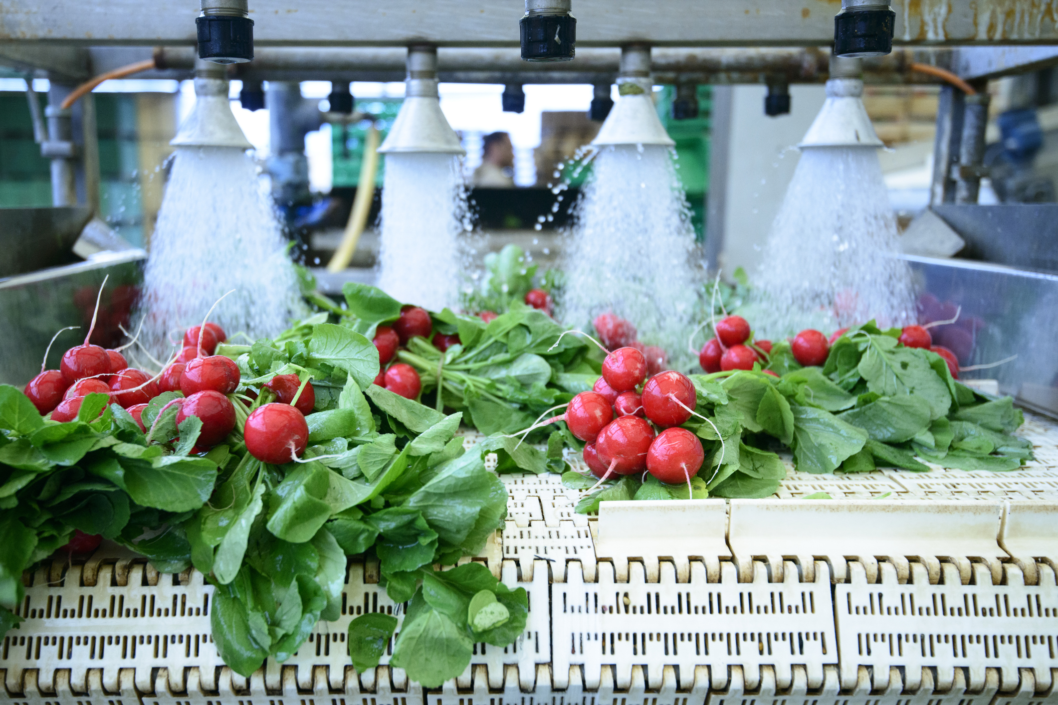 Mangueiras industriais para lavagem na indústria alimentícia.