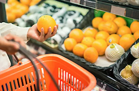 Formação de PCQI – FSPCA