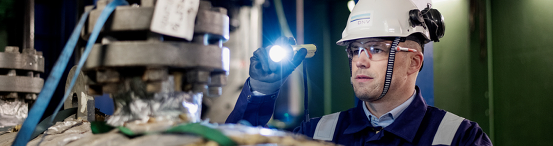 Avaliações de Riscos de Sustentabilidade & ESG 