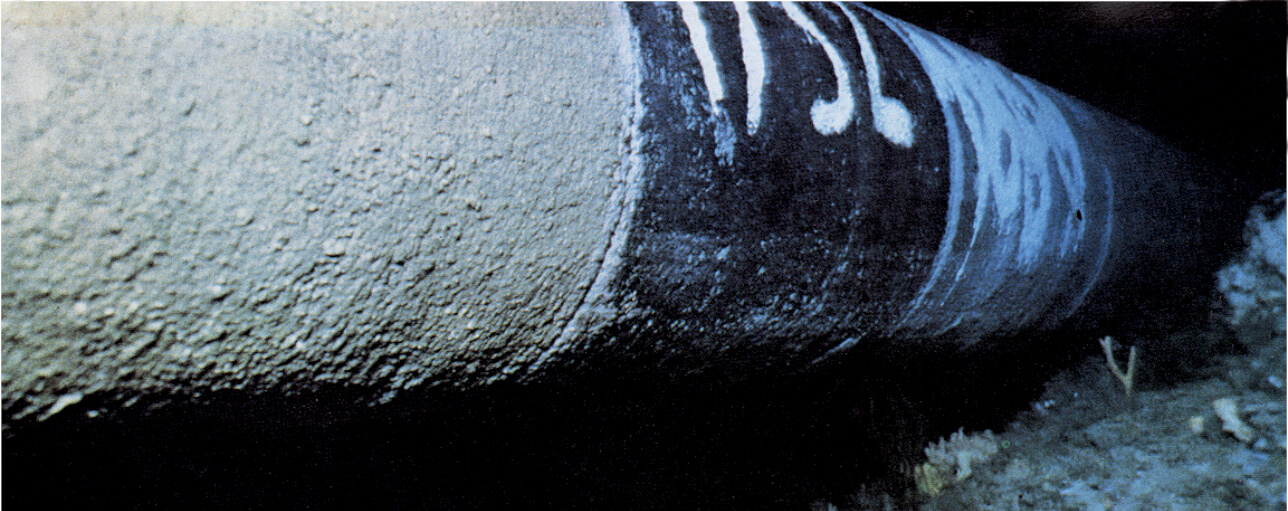 Testing of submerged CO2 pipelines