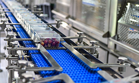 HACCP Codex e GMP - Interpretação dos Requisitos da Norma