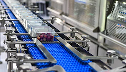 HACCP Codex e GMP - Interpretação dos Requisitos da Norma