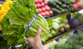 ISO 22000:2018 - Interpretação dos Requisitos da Norma