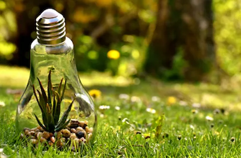 ISO 50001:2018 - Formação de auditor interno incluindo a interpretação da norma