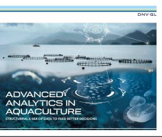 AdvancedAnalyticsInAquaculture163x200