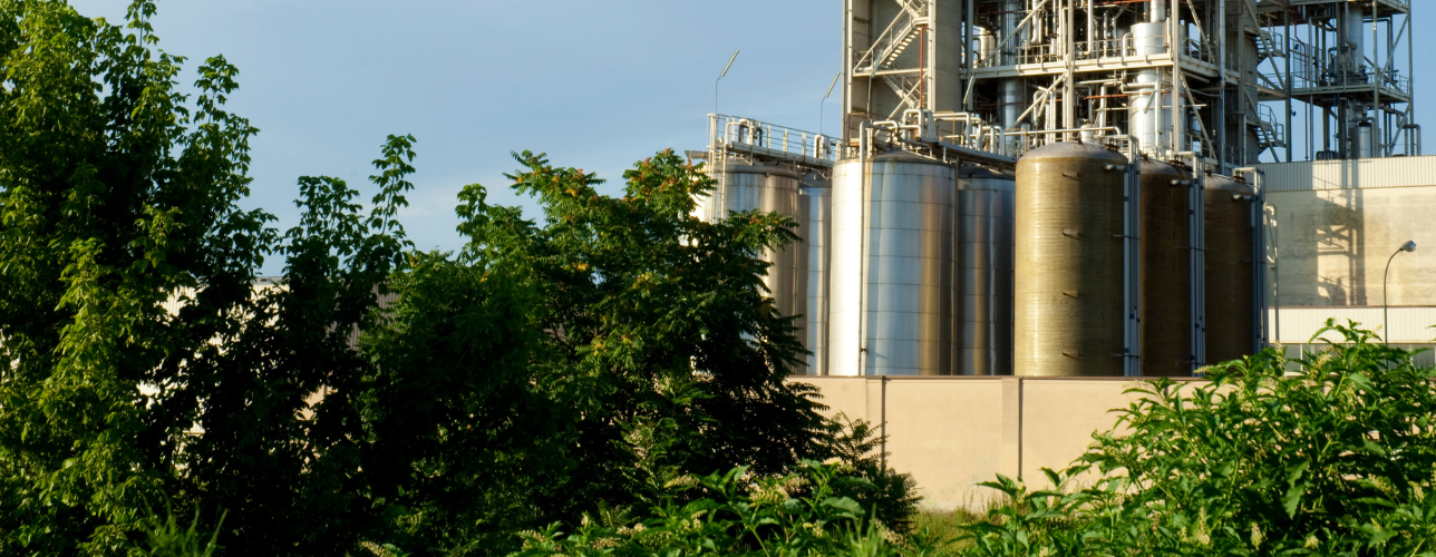 BR - PSM Tridion 1288x500