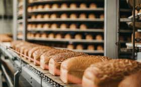 FSSC 22000 ver 6 / ISO 22000:2018 - Formação de Auditor Líder, curso certificado CQI e IRCA