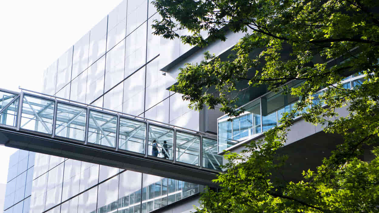 Certificação ISO 14001: Gestão Ambiental