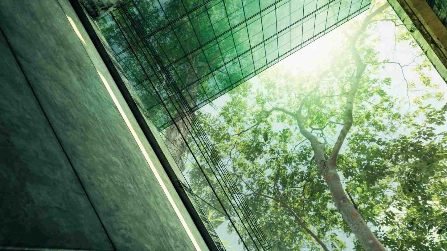 Certificação ISO 50001: Sistema de Gestão de Energia