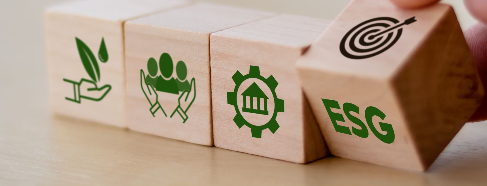 Treinamento em ESG e Sistemas de Gestão