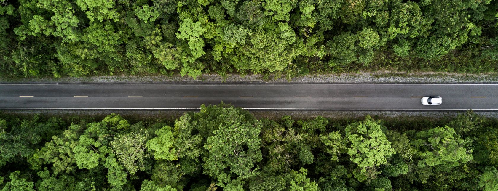Visão aérea de uma estrada por uma floresta verde