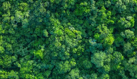 Revisão da ISO 14001 - Sistema de Gestão Ambiental