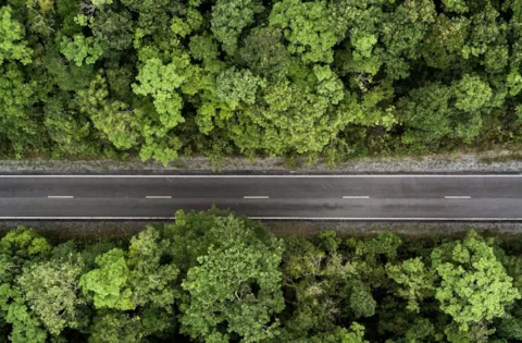 Fundamentos da transição para a ISO 14001:2026 com base no projeto de norma internacional (ISO/DIS 14001)
