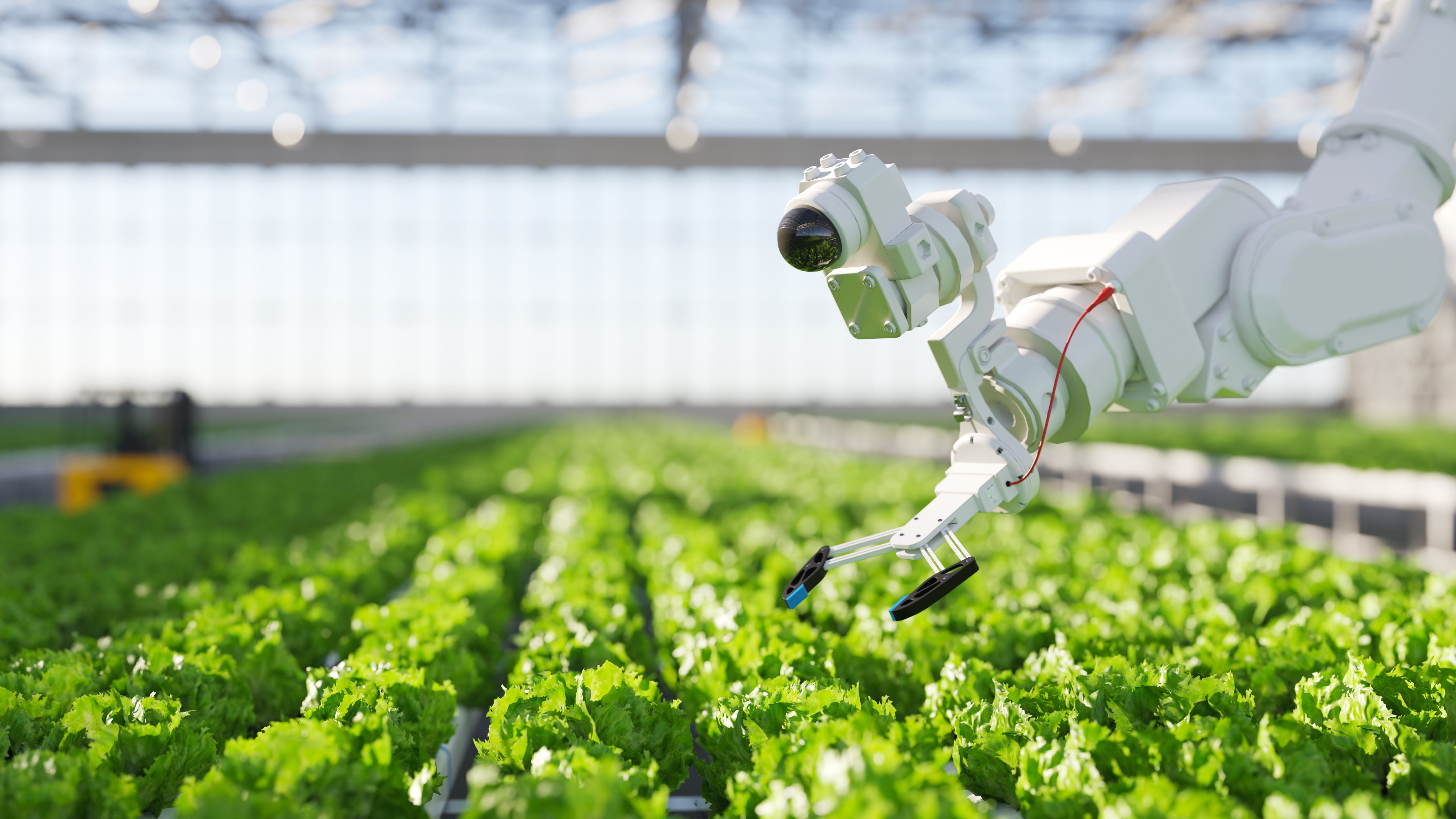 Food Innovation with a robot