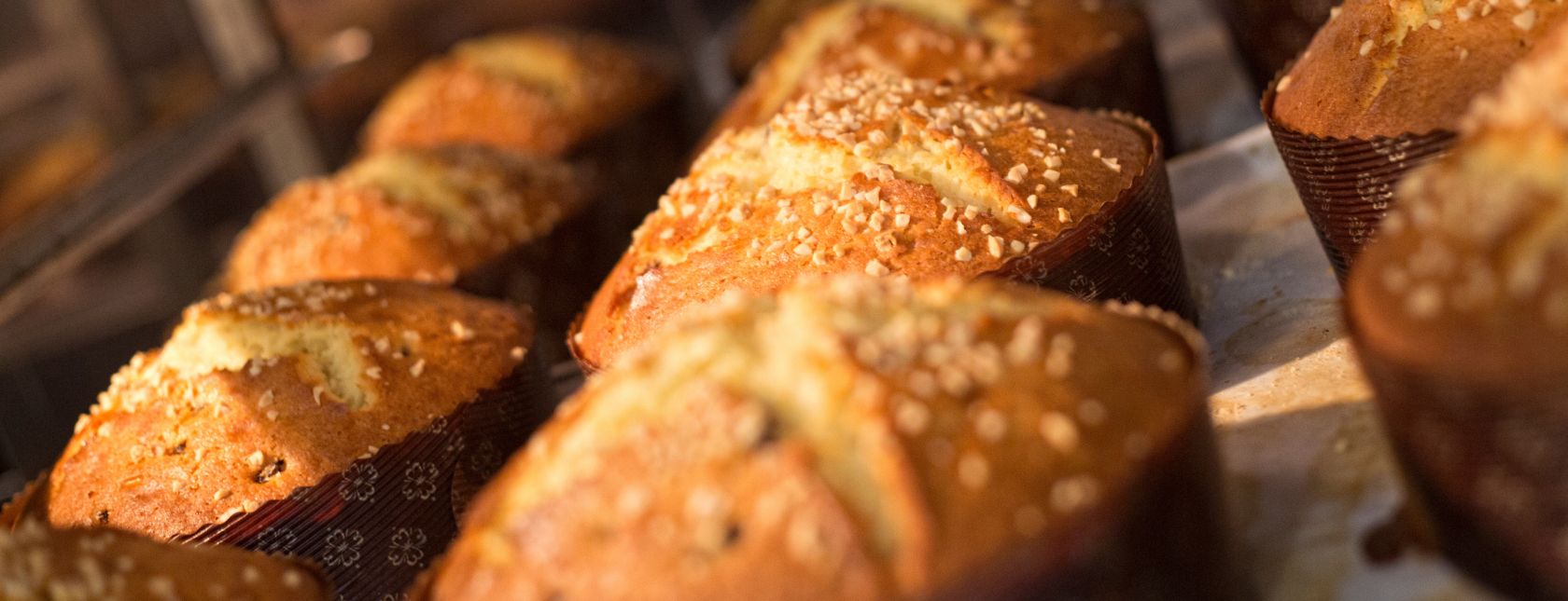 Iniciação ao sistema de gestão de segurança alimentar ISO 22000 - Curso eLearning