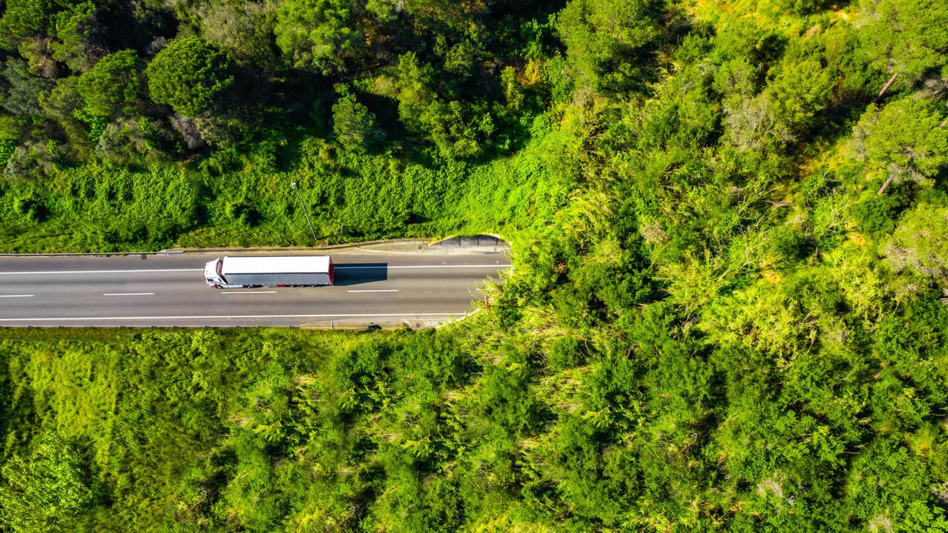Corredor verde com vegetação e um caminhão de carga