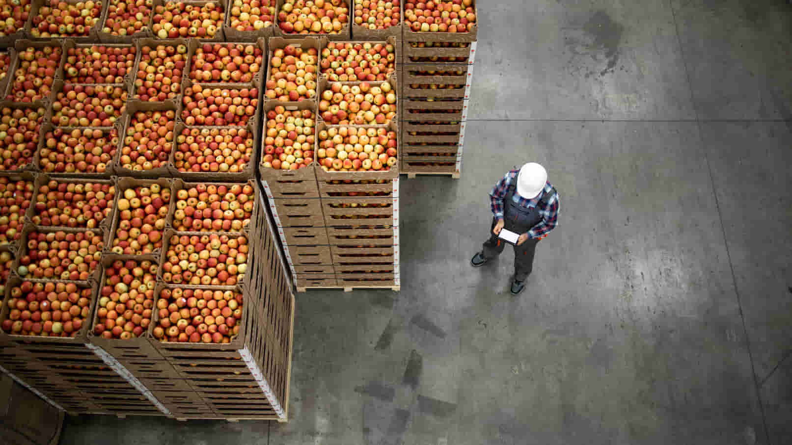 Vista superior de um trabalhador em pé ao lado de caixas de maçãs