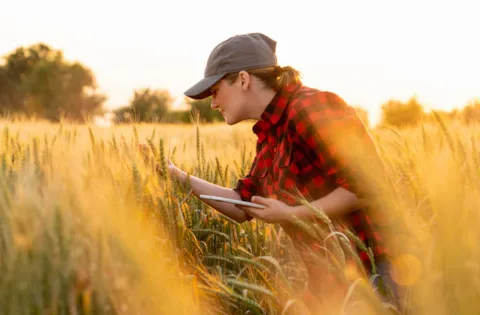 Cultura de Qualidade e Segurança dos Alimentos