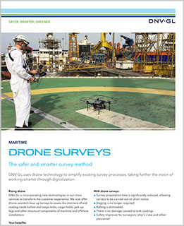 Drone surveys flyer