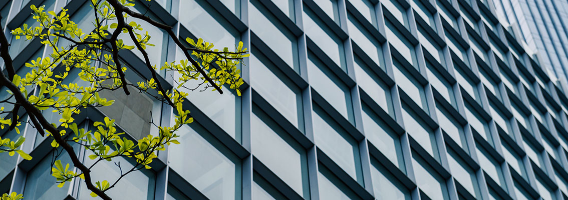 Treinamento em Meio Ambiente e Energia