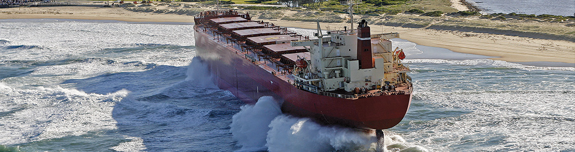 ERS - Grounded Bulker