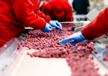 Formação de PCQI v. 2.0- FSPCA (Food Safety Preventive Controls Alliance)