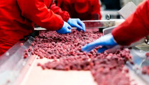 Formação de PCQI v. 2.0- FSPCA (Food Safety Preventive Controls Alliance)