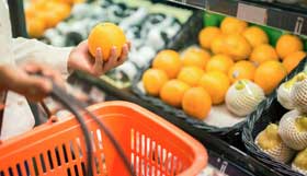 Segurança de alimentos