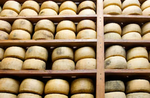 IFS V.8 Formação de Auditor Interno