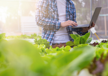 Transição para a FSSC 22000 Versão 6