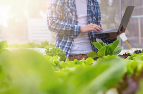 Transição para a FSSC 22000 Versão 6