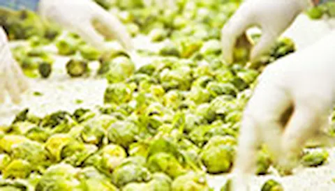 Food Fraud & Food Defence