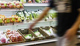 FSSC 22000 ver.6 - Formação de auditor interno, incluindo a interpretação da norma