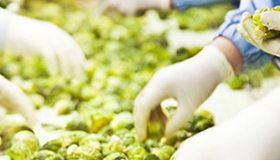 FSSC 22000 ver. 6 – Interpretação dos requisitos da norma