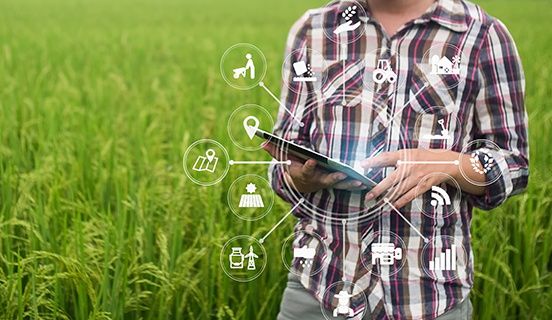 A mudança de confiança de marcas para produtos