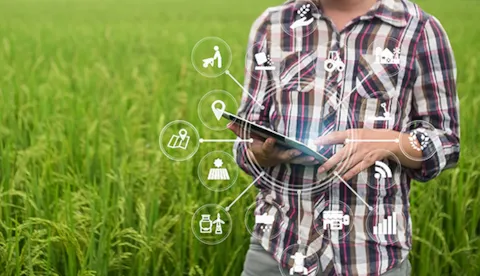 A mudança de confiança de marcas para produtos