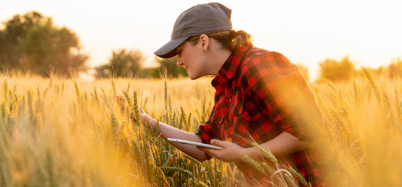 GLOBALG.A.P IFA versão 6