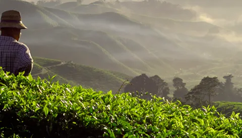 Auditorias sociais SMETA/SEDEX