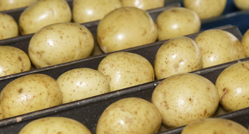 GLOBALG.A.P IFA Plants version 6