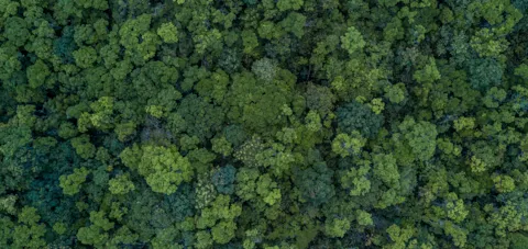 Sustainability strategy and assessment services by DNV GL