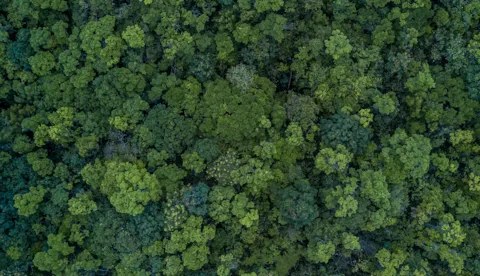 Sustentabilidade