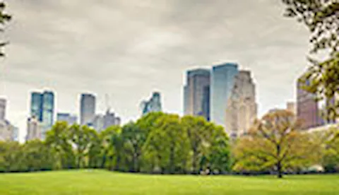 Certificação ISO 14001: Gestão Ambiental