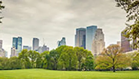 Avaliação e Suporte de Sistema de Gestão Ambiental (ISO 14001)