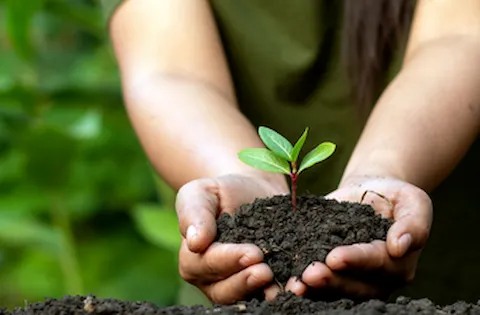 ISO 14001:2015 - Formação de Auditor Interno (Incluindo Interpretação da Norma)