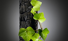 ISO 14001:2015 - Formação de Auditor Interno