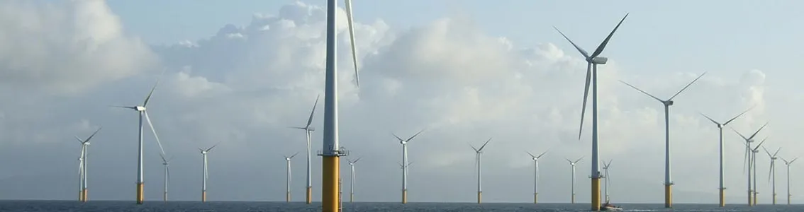 Offshore wind turbine park 