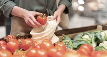 Indústria primária